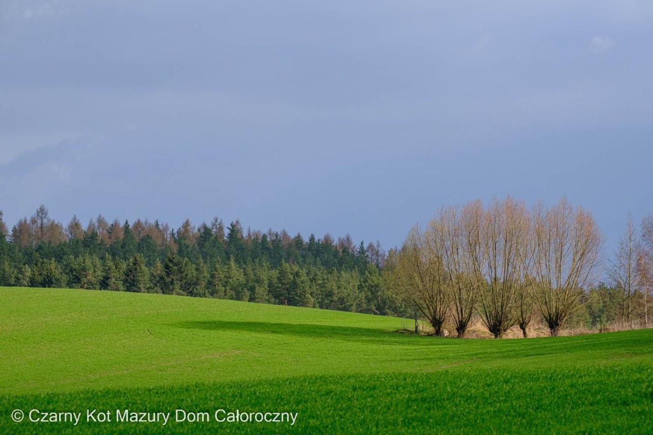 Malkinie Czarny Kot Mazury Dom Caloroczny 빌라 외부 사진